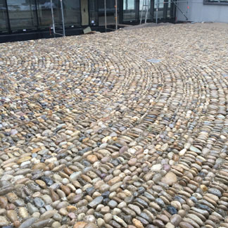 Böblingen Elementary- and High School