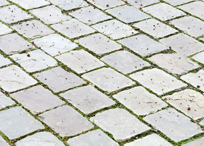 Stuttgart Fasanenhof